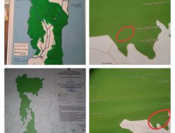 AJPLH: Gakkum KLHK dan Polda Sumbar Diminta Tertibkan Kasus Ilegal Loging dan Perambahan Hutan di Kabupaten Limapuluh Kota