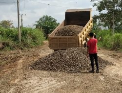 Kabid Balai UPTD Alkal Iwan Ramadi Jalan Kumpeh Dapat Perhatian Kusus Dari Pemerintah Provinsi