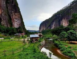 Harau..oh..Harau..Target Retribusi yang Selangit, Realisasinya Kok Amit-amit?