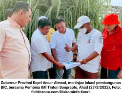 Ansar Ahmad Dampingi Tinton Soeprapto: Tinjau Lokasi Pembangunan Sirkuit F1 Bintan
