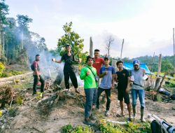 Diduga Anggota Dewan Kuansing Menjadi Dalang Perambah Hutan Secara Ilegal