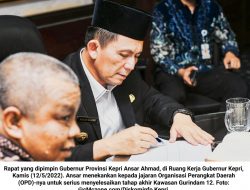 Ansar Ahmad: Tanjungpinang Jangan Tanggung-tanggung Kalau Mau Dijadikan Kota City Tour