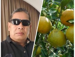 Kedatangan Gubernur dan Bupati Menemui Petani Jeruk, Bak Lakon Talambek Jago?