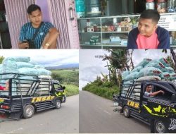 Armada Cabe Balap” Toke Muda Meroket Belanja Hari ini