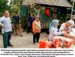 BPBD Bintan Serahkan Bantuan untuk Korban Pohon Tumbang di Desa Pangkil