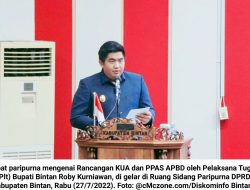 Roby Kurniawan Sampaikan Rancangan KUA & PPAS Bintan Tahun 2023