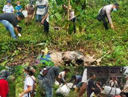 Sudah Membusuk dan Tinggal Tulang, Kakek (85) Tahun Ditemukan di Perkebunan Kopi Bukit Sedingin