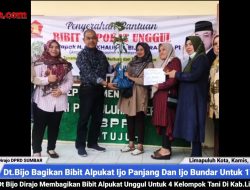 H.Nurkhalis Dt.Bijo Dirajo Bagikan Bantuan Bibit Alpukat Ijo Panjang Dan Ijo Bundar Untuk 17 Ha Lahan