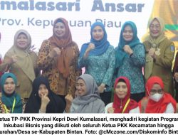 Program Inkubasi Bisnis: Hafizha Rahmadhani Harap Pemda Mendukung