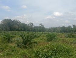 Kelompok Tani Mekar Jaya Menanti Ketegasan Presiden dan Menteri Agraria