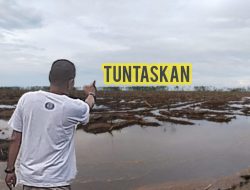 Lihat Kerusakan Kawasan Mangrove di Desa Sungai Sayang, Gerakan Anak Bangsa Desak Kapolres Tanjabtim Tindak Tegas Kepada Pelaku