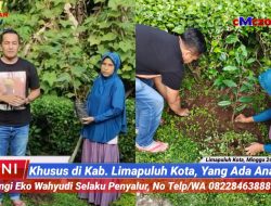 Tim BLD Musangking RKN, Eko Wahyudi Sebar dan Tanam di Nagari Koto Tangah Simalanggang