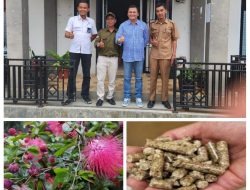 Wakil Bupati Limapuluh Kota, RKN Dampingi Tim PT. Semen Padang Sosialisasi Tanaman Kaliandra Di Nagari Koto Tinggi, Ini Manfaatnya