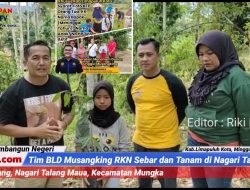 Wali Nagari Dampingi Tim BLD Musangking RKN Sebar dan Tanam di Talang Maua