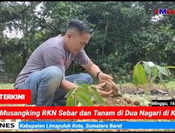 Masih Kecamatan Harau, Tim BLD Musangking RKN Sebar dan Tanam di Dua Nagari