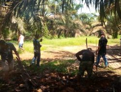 Anggota Dan Pengurus Koperasi Mitra Tani Indragiri Lakukan GORO Membuat Tapak Bangunan Kantor Koperasi