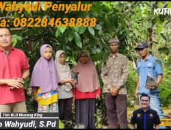 Tim BLD Musangking RKN Sebar dan Tanam di Nagari Guguak VIII Koto