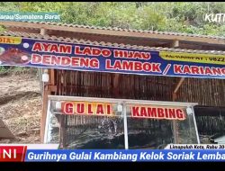 Gurihnya Gulai Kambing Kelok Soriak Lembah Harau
