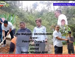 Wabup RKN Melalui Eko Wahyudi Tanam Bibit Durian Unggul Musang King di 12 Rumah Keluarga Yatim di Nagari Koto Alam