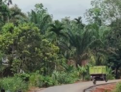 Ketua DPD PEKAT IB Tanjabtim Soroti Penimbunan Bahu Jalan Nibung Putih