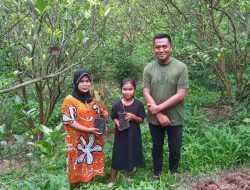 BLD Musangking RKN Sebar dan Tanam di Sungai Mangkirai, Surya Mulyadi : 8 KK