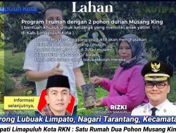 Masyaallah..!! Wabup RKN Bagikan Bibit Durian Musang King (Keluarga Anak Yatim), Hari Ini di Nagari Tarantang
