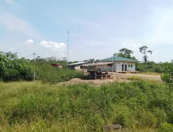 Tak Peduli Lingkungan, RAM PT EWF Teluk Dawan Dipenuhi Rumput Liar