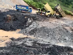 Diduga Kuat Akibat Puluhan Truk Membawa Muatan Batu Bara di Kapur IX, Jalan Nagari Koto Lamo Rusak Parah dan Hancur