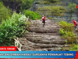 Kawasan Wisata Lembah Harau, Surganya Pemanjat Tebing