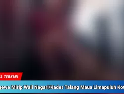 Darurat Moral, Wali Nagari Kembali Coreng Wajah Limapuluh Kota 