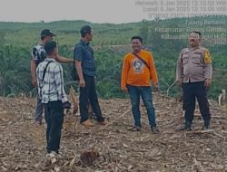 Ratusan Hektar Lahan Perkebunan Sawit Masyarakat Habis Di Garap Oleh PT. BBSI