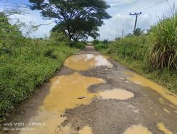 Masyakat Berharap UPTD ALKAL Provinsi Jambi Serius Dalam Penanganan Jalan Rusak