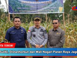 Wujudkan Asta Cita, Kalapas Suliki, Distanhorbun dan Wali Nagari Limbanang Panen Raya Jagung