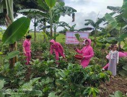 Pekarangan Pangan Lestari (P2L)Bhayangkari Polsek Kumpeh Ilir 