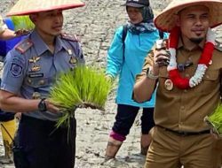 Reintegrasi Warga Binaan, Lapas Suliki Tanam Padi di Lahan 3500 Meter