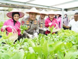 Kapolda Riau Irjen Pol Mohammad Iqbal Didampingi Ketua Bhayangkari Daerah Riau, Nindia Iqbal Giat Nyata Mendukung Ketahanan Pangan.