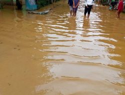 Sungai Batang Sumpur Meluap, Nagari Sisawah Di hantam Banjir, Pulahan Rumah Dan Sawahl Terendam