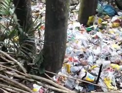 Harau Dijajah Sampah, Bupati dan Wakil Kemane Aje?