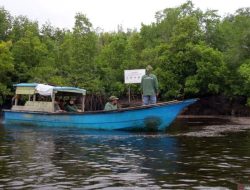Desa Teluk Pambang, Sukses Turunkan Laju Kerusakan Hutan Mangrove 96 Persen