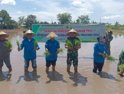Dandim 0322/Siak Pimpin Gerakan Penanaman Padi di Sungai Tengah, Dukung Swasembada Pangan Riau