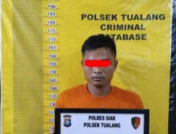 Pelaku Pencurian Berondolan Buah Kelapa Sawit di Amankan
