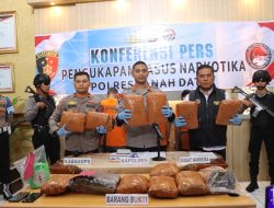 Polres Tanah Datar Ungkap Kasus Penyalahgunaan Narkoba, Amankan 13 Kg Ganja