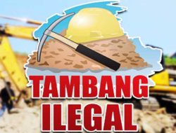 Problematik Wako Payakumbuh di Mulai Dari Tambang Hingga Lahan Sawit