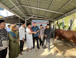 Momen Hari Raya IdulAdha, Bupati Sijunjung Serahkan Bantuan Hewan Kurban Presiden Prabowo Kepada Pengurus Masjid Istiqomah Muaro