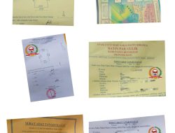Lembaga Aliansi Indonesia & Media Aktivis Indonesia.Com Meminta Keras Kepada Gubernur Provinsi Riau Dan Kapolda Provinsi Riau Untuk Usut Tuntas Semua Para Pelaku Pengerusakan 76 Ha Kebun Kelapa Sawit Di Kampung D.30 Bengkalis Provinsi Riau