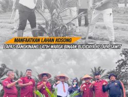 MANFAATKAN LAHAN KOSONG : LAPAS BANGKINANG LATIH WARGA BINAAN BUDIDAYA KELAPA SAWIT