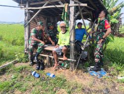 Babinsa Aktif Jalin Komunikasi dengan Petani di Gubuk Tengah Sawah