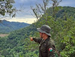 Kadis Parpora Sijunjung Afrineldi, S.H. Turun Survei Lansung Pendakian Bukit Kupitan