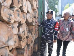 TNI AL Gagalkan Upaya Penyulundupan Kayu Bernilai Ratusan Juta Rupiah di Tanjung Perak Surabaya