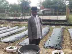 Kepala Sekolah SMAN Olahraga SKO Provinsi Riau ASLIM, S.Pd., M.M. Ikut Program Gurbernur, Penanaman Bibit 9 Tanaman Pertahun